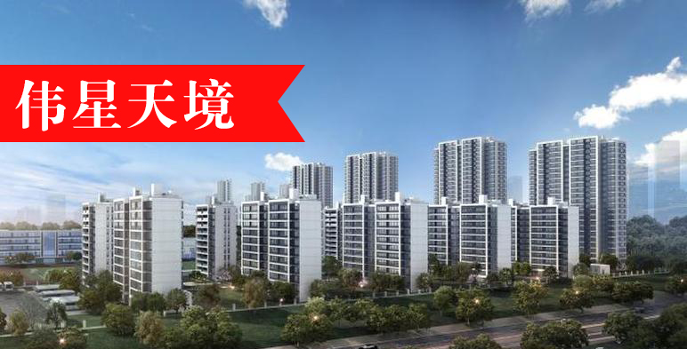 伟星天境