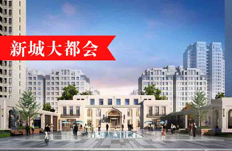 新城大都会